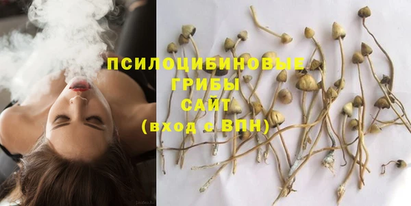 прущий лед Арсеньев