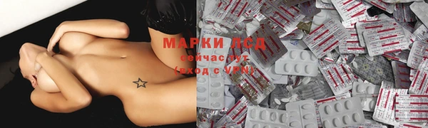 ешки Аркадак