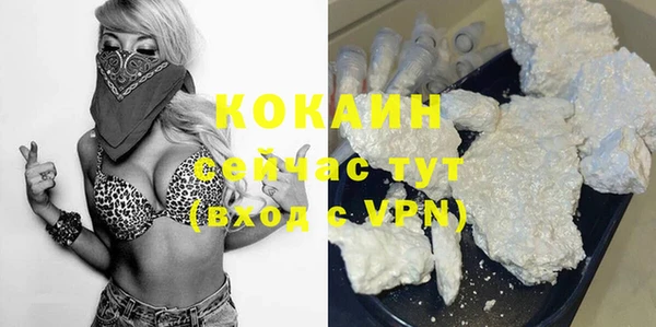 ешки Аркадак