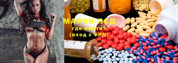 ешки Аркадак