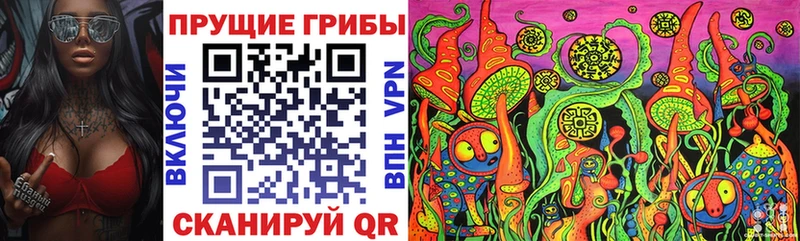 Псилоцибиновые грибы прущие грибы  Купить  Камень-на-Оби 